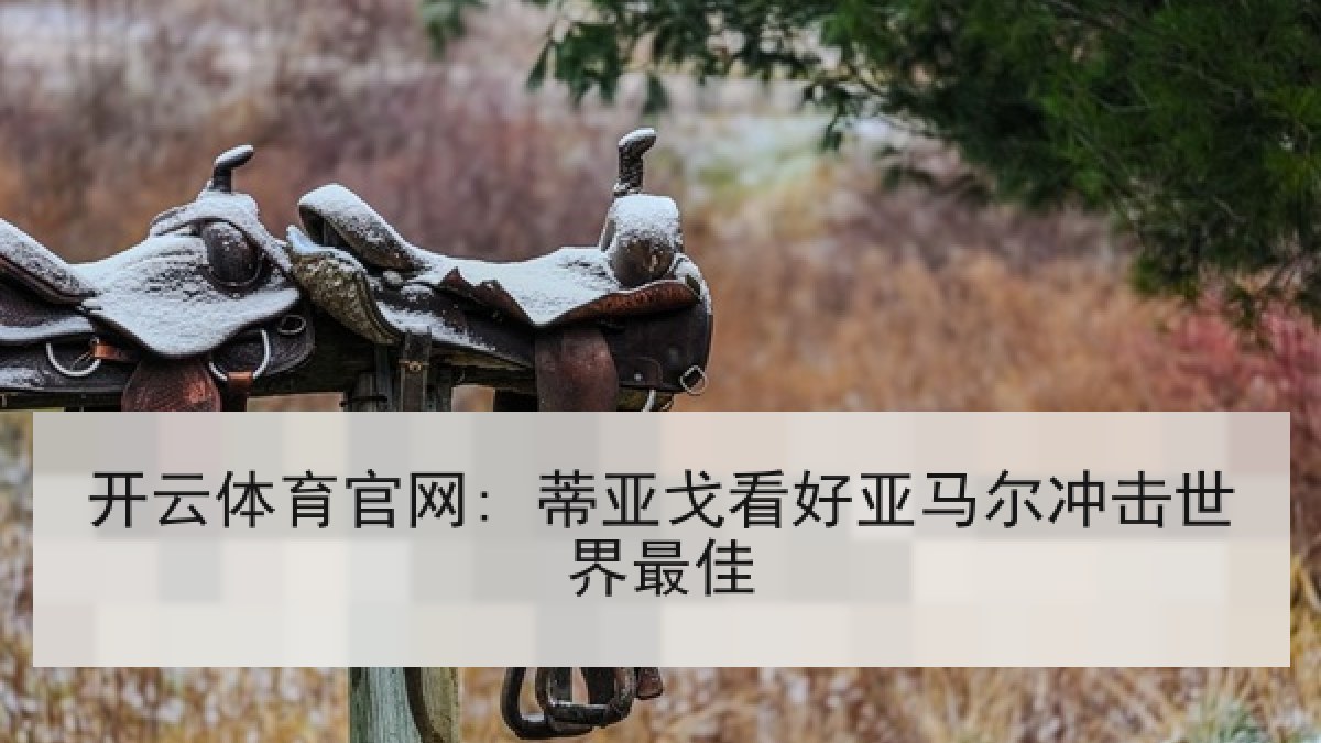 开云体育官网: 蒂亚戈看好亚马尔冲击世界最佳