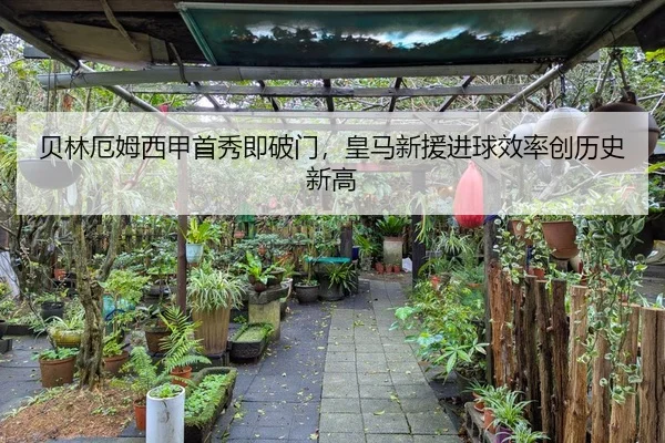 贝林厄姆西甲首秀即破门，皇马新援进球效率创历史新高