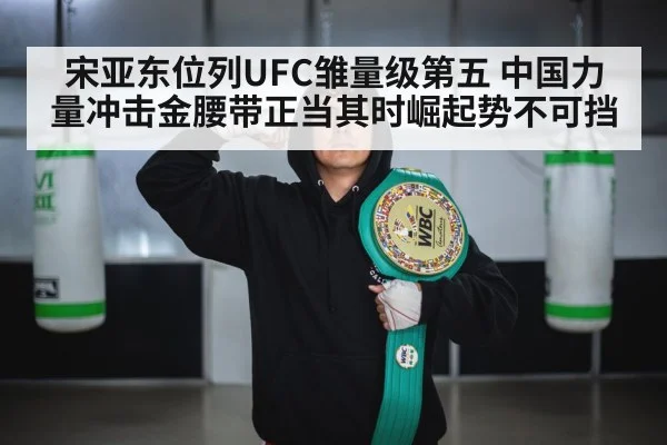 UFC championship belt